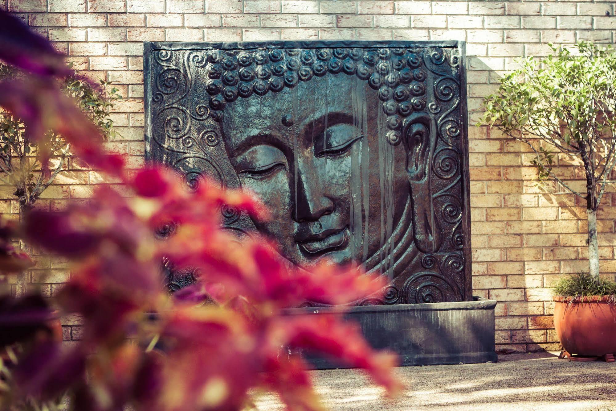 Sunshine Coast Motor Lodge Woombye Ngoại thất bức ảnh